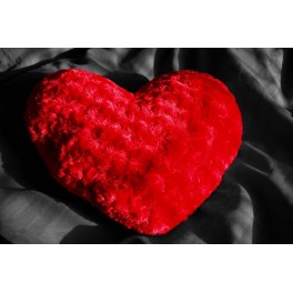Soft Heart print Soft Heart print