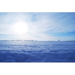 Fields of Snow print Fields of Snow print