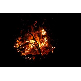 Dark Fire print Dark Fire print